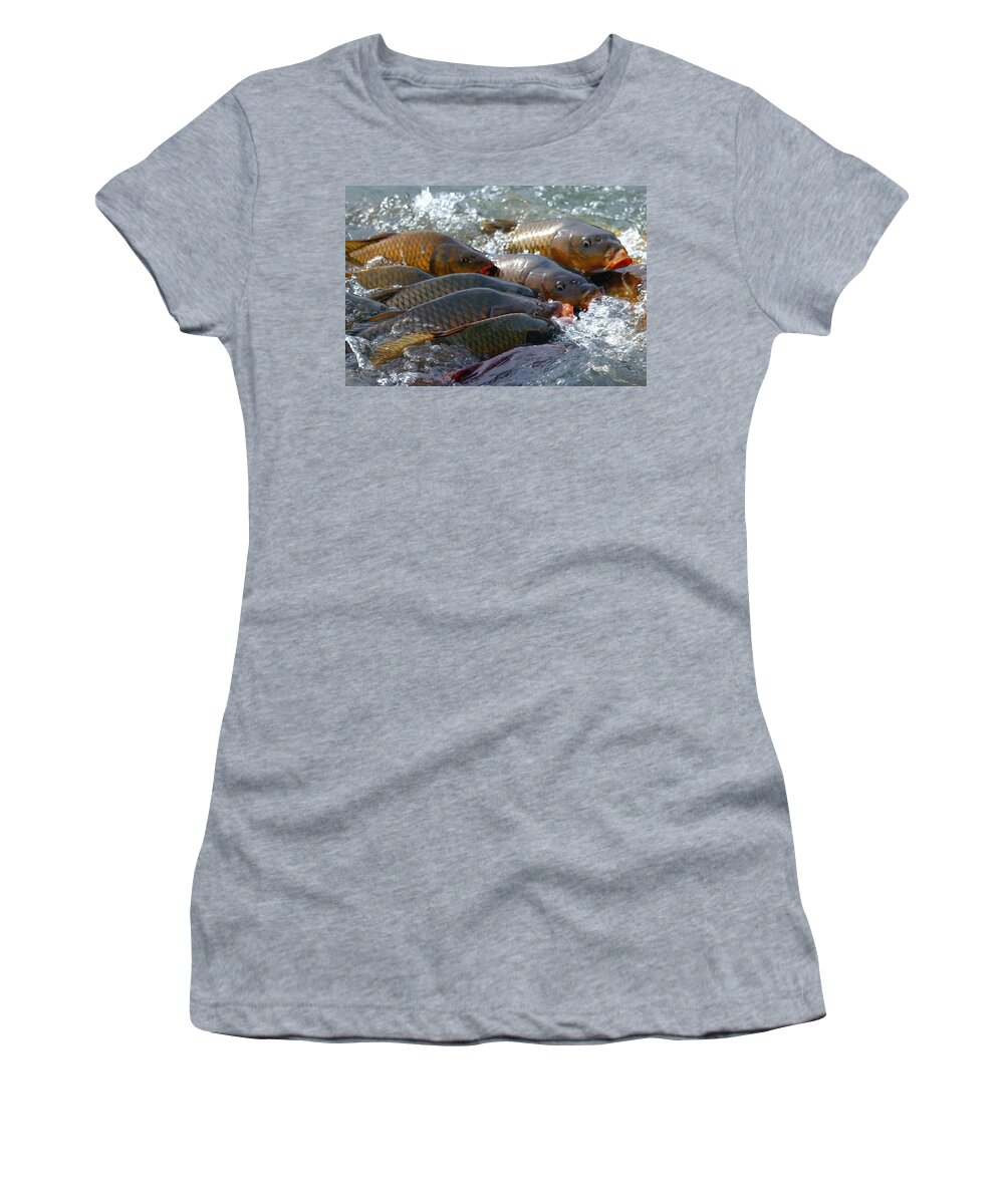 Fish Women's T-Shirt featuring the photograph Fishing and Hunting by Elizabeth Winter