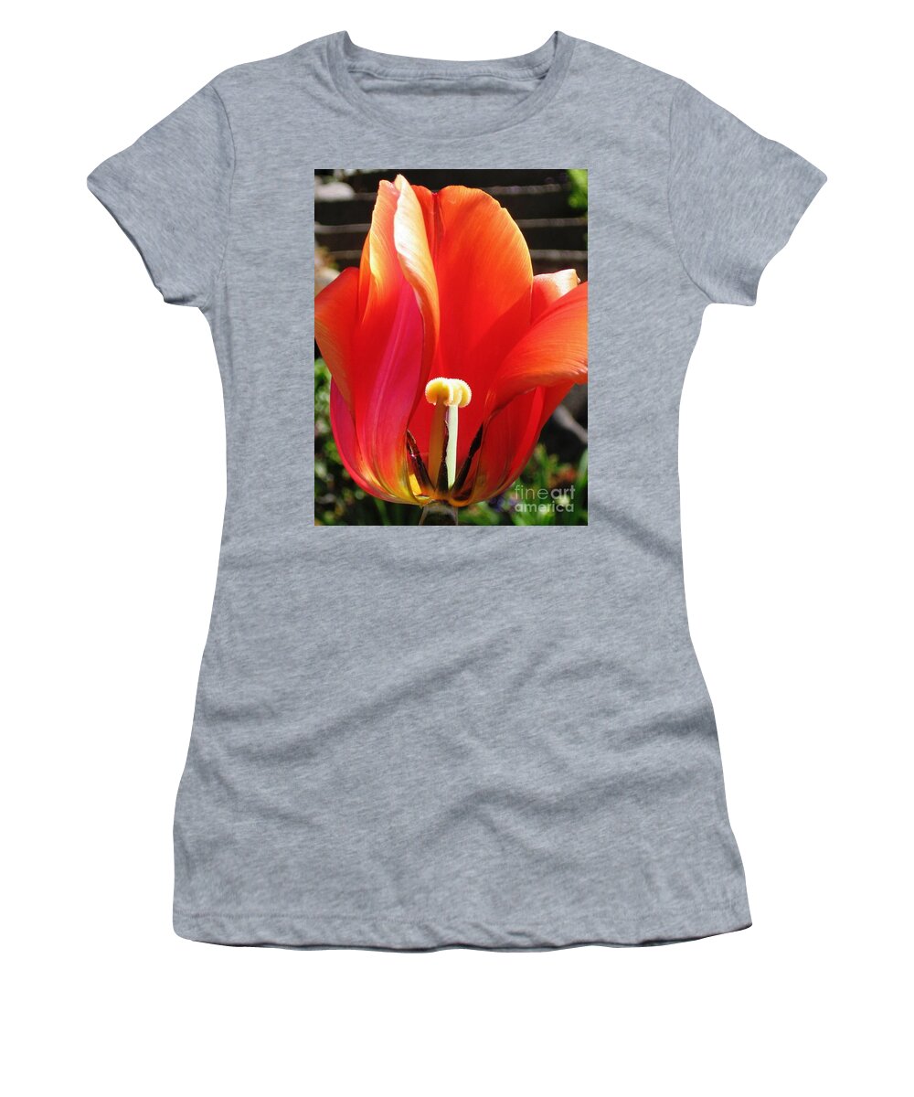 Tulip Women's T-Shirt featuring the photograph Flame by Rory Siegel
