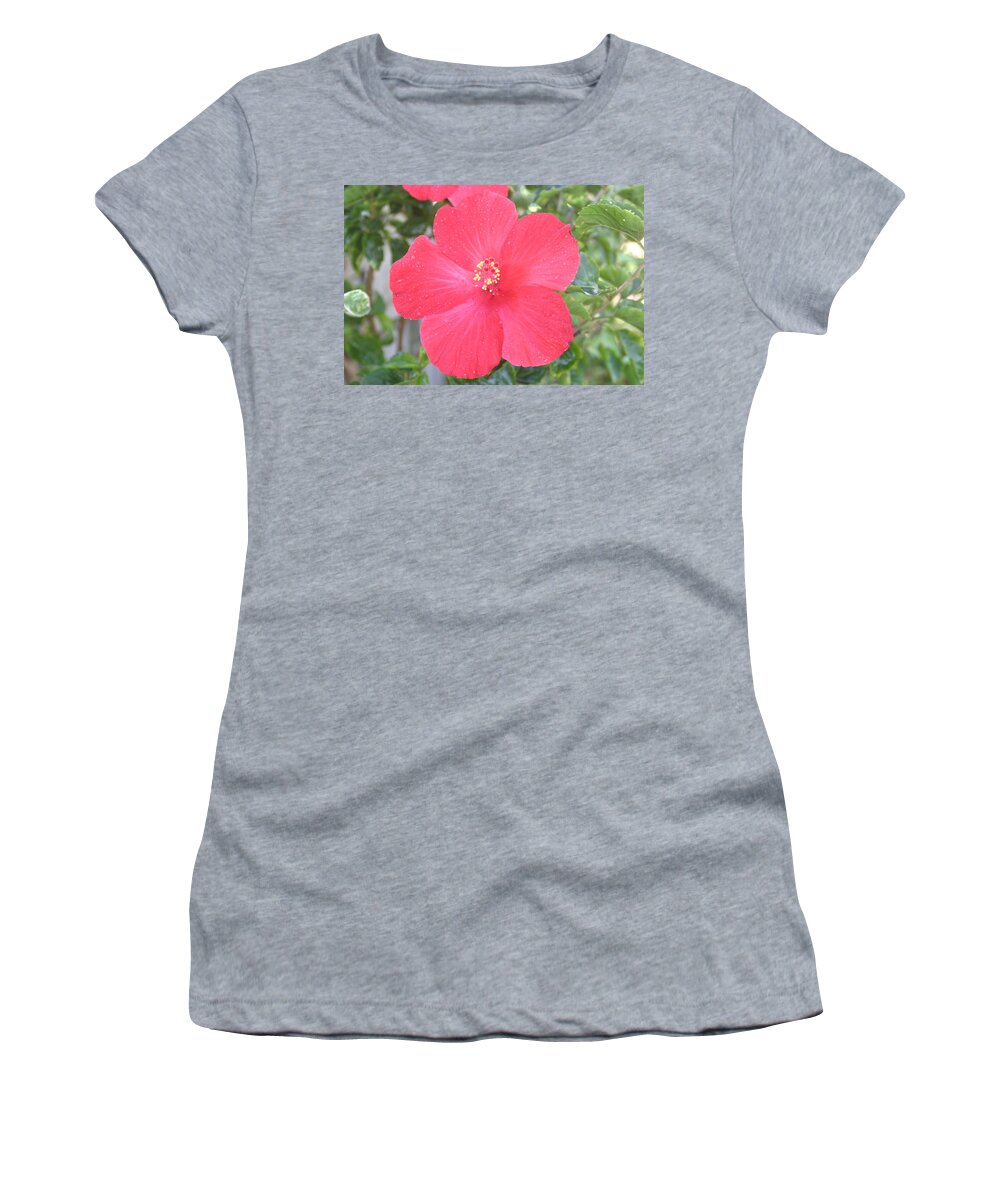 Hibiscus Women's T-Shirt featuring the photograph Flower in the Mist by Anthony Trillo