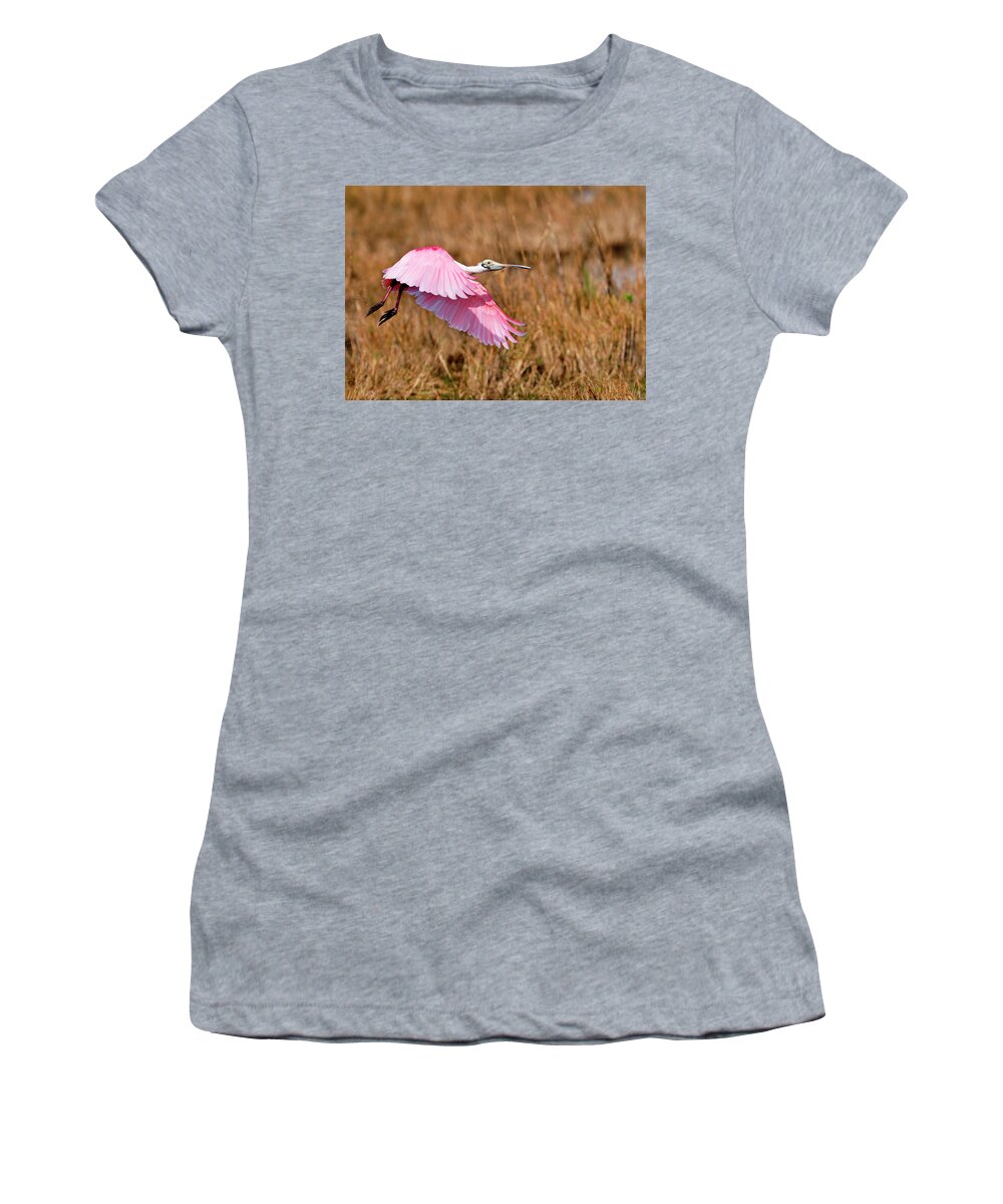 Roseate Women's T-Shirt featuring the photograph Flying across the wetlands by Bill Dodsworth