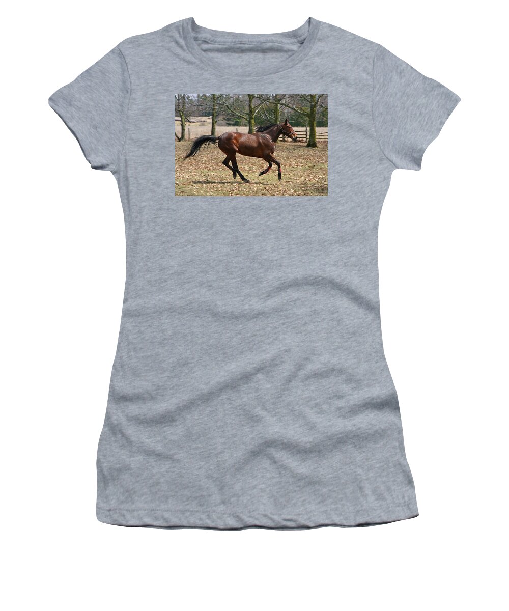 Horses Women's T-Shirt featuring the photograph Free Spirit by Davandra Cribbie