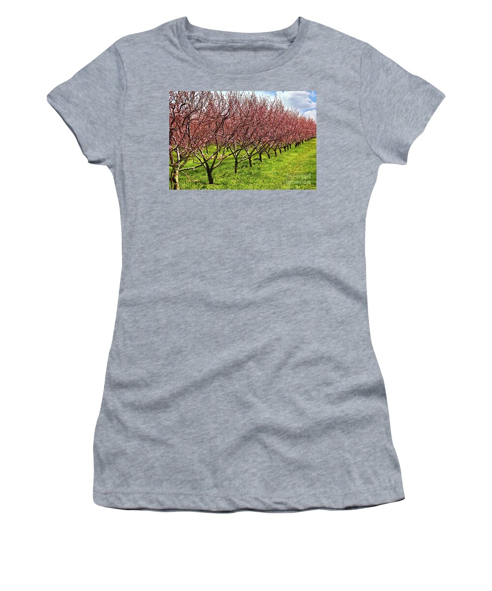 Orchard Women's T-Shirt featuring the photograph Fruit orchard by Elena Elisseeva