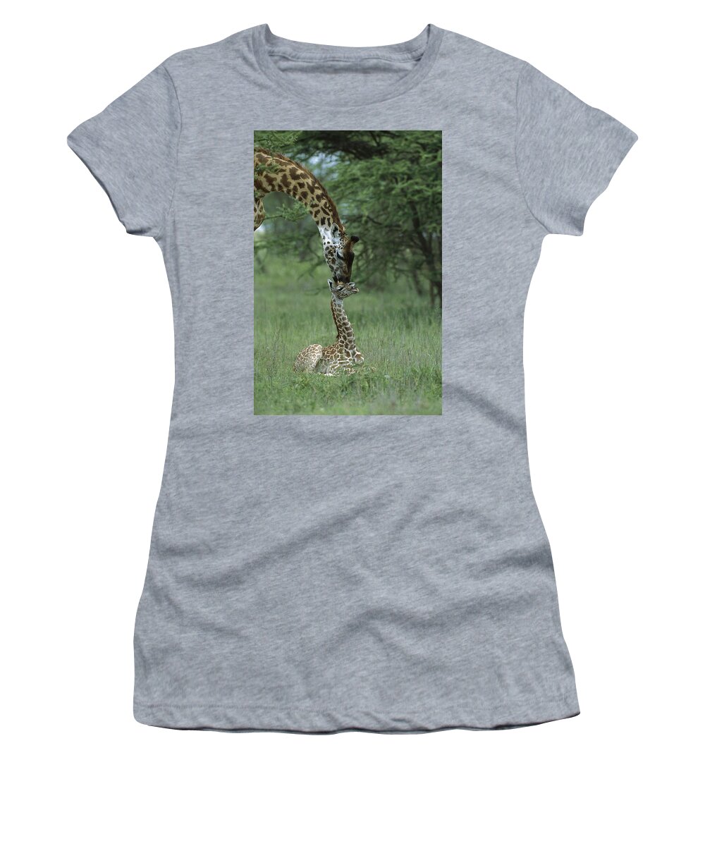 00761654 Women's T-Shirt featuring the photograph Giraffe Mother And Newborn Ngorongoro by Suzi Eszterhas