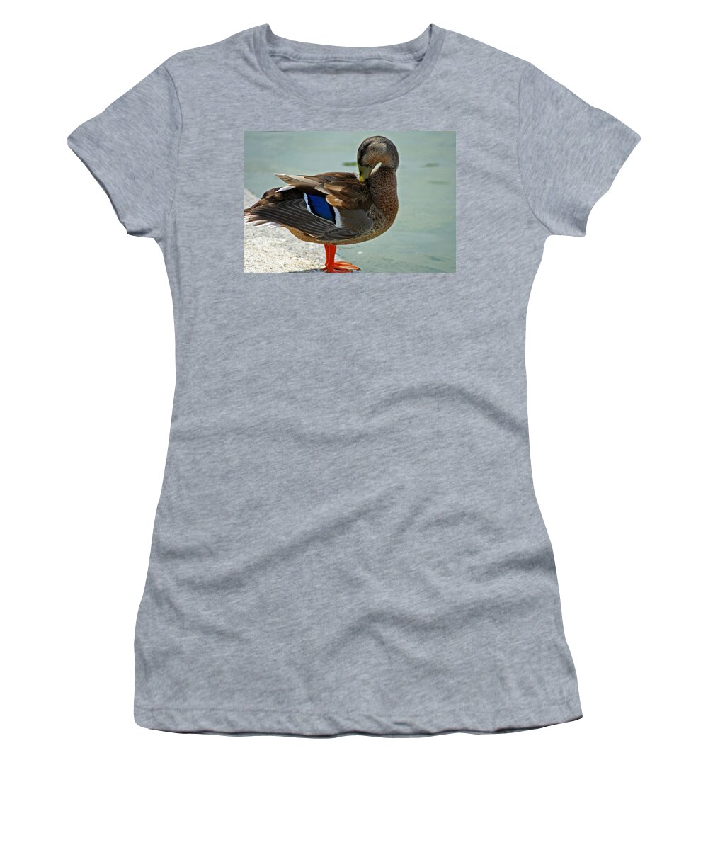 Nature Women's T-Shirt featuring the photograph Grooming Mallard by La Dolce Vita