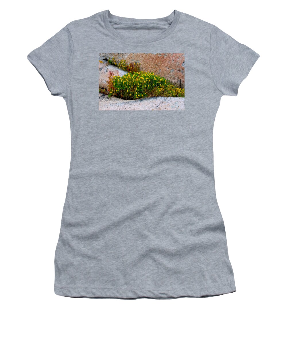 Rock Women's T-Shirt featuring the photograph Growing in the Cracks by Brent L Ander