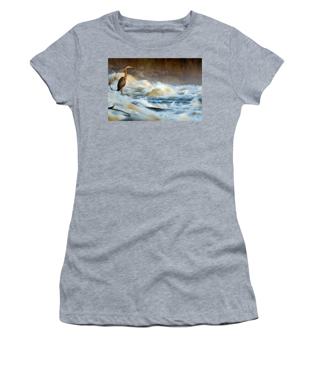 2007 Women's T-Shirt featuring the photograph Heron in Centaur Shute by Robert Charity