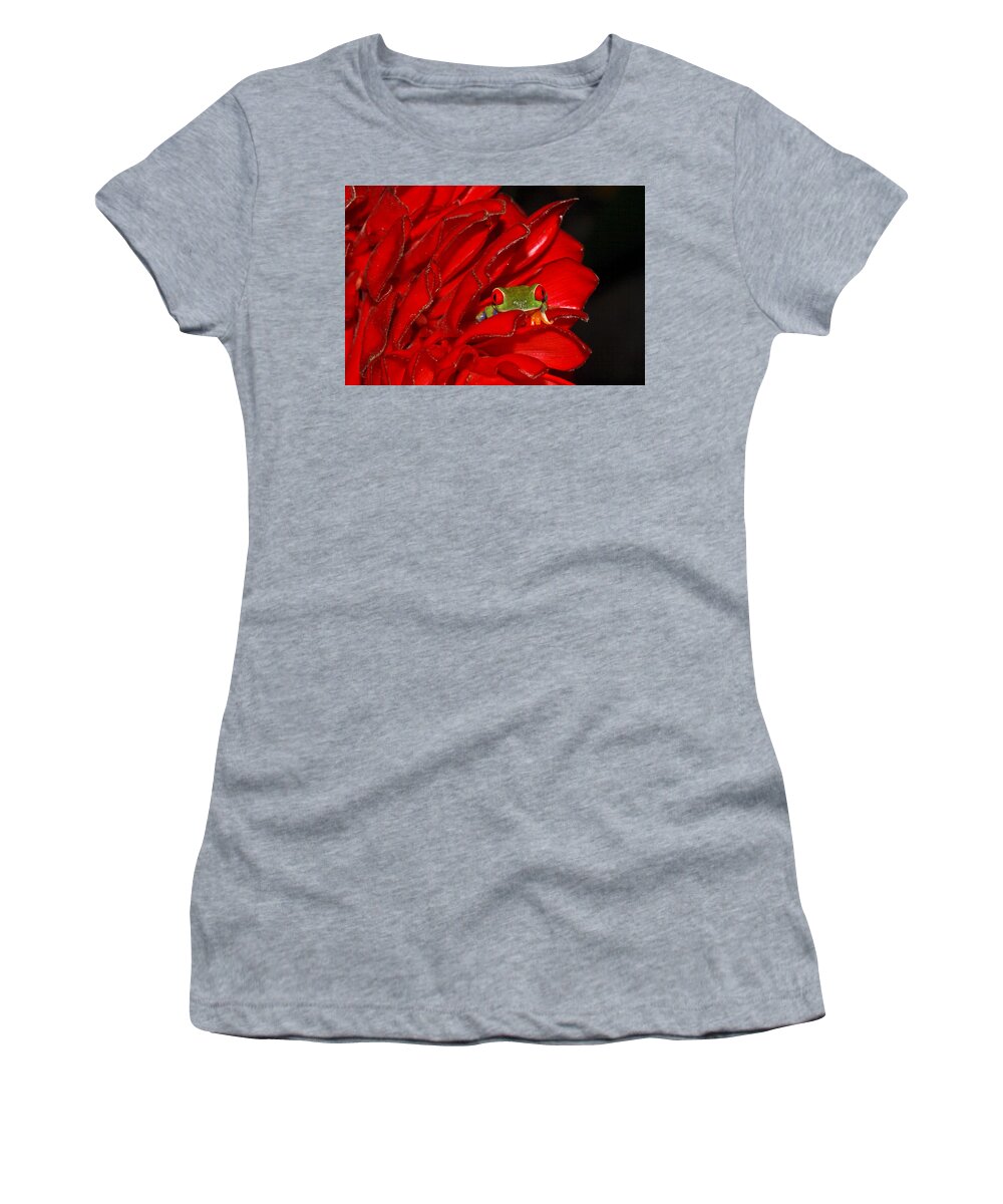 Frog Women's T-Shirt featuring the photograph Hiding by Tom and Pat Cory