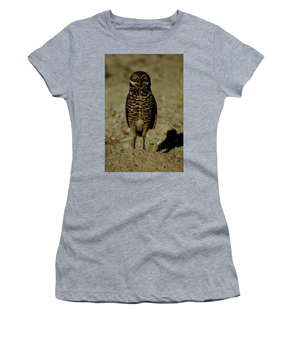 Owl Women's T-Shirt featuring the photograph Hoo Are You? by David Weeks