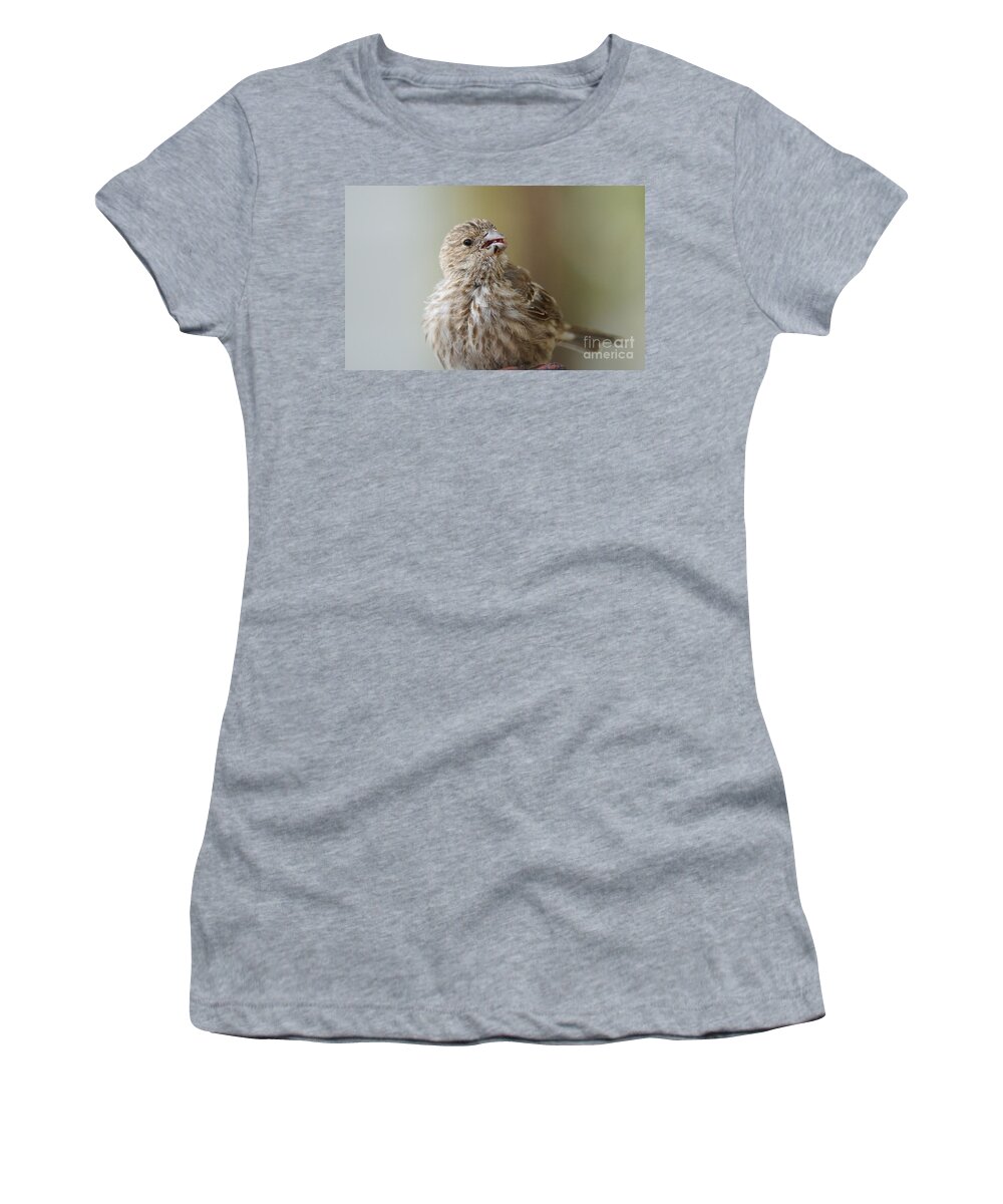 Birds Women's T-Shirt featuring the photograph House finch profile by Lori Tordsen