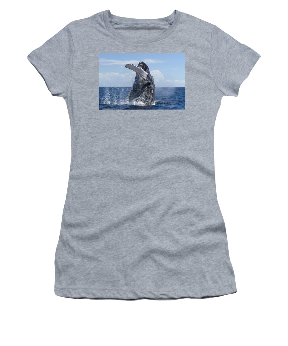 00999131 Women's T-Shirt featuring the photograph Humpback Whale Breaching Maui Hawaii by Flip Nicklin