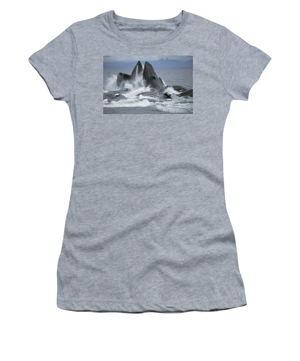 Mp Women's T-Shirt featuring the photograph Humpback Whale Cooperative Gulp Feeding by Flip Nicklin
