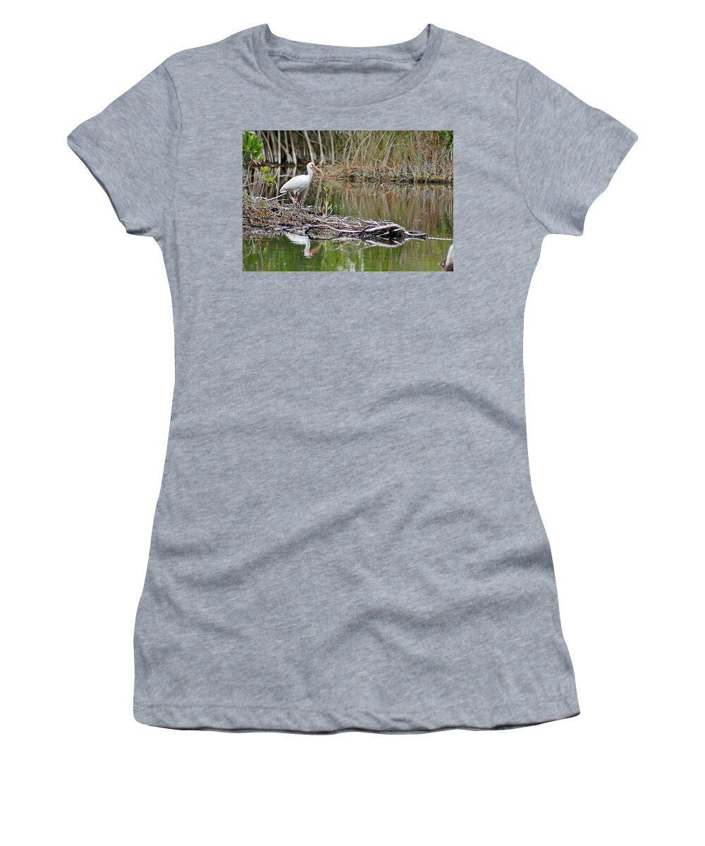 Ibis Women's T-Shirt featuring the photograph Ibis 2 by Joe Faherty