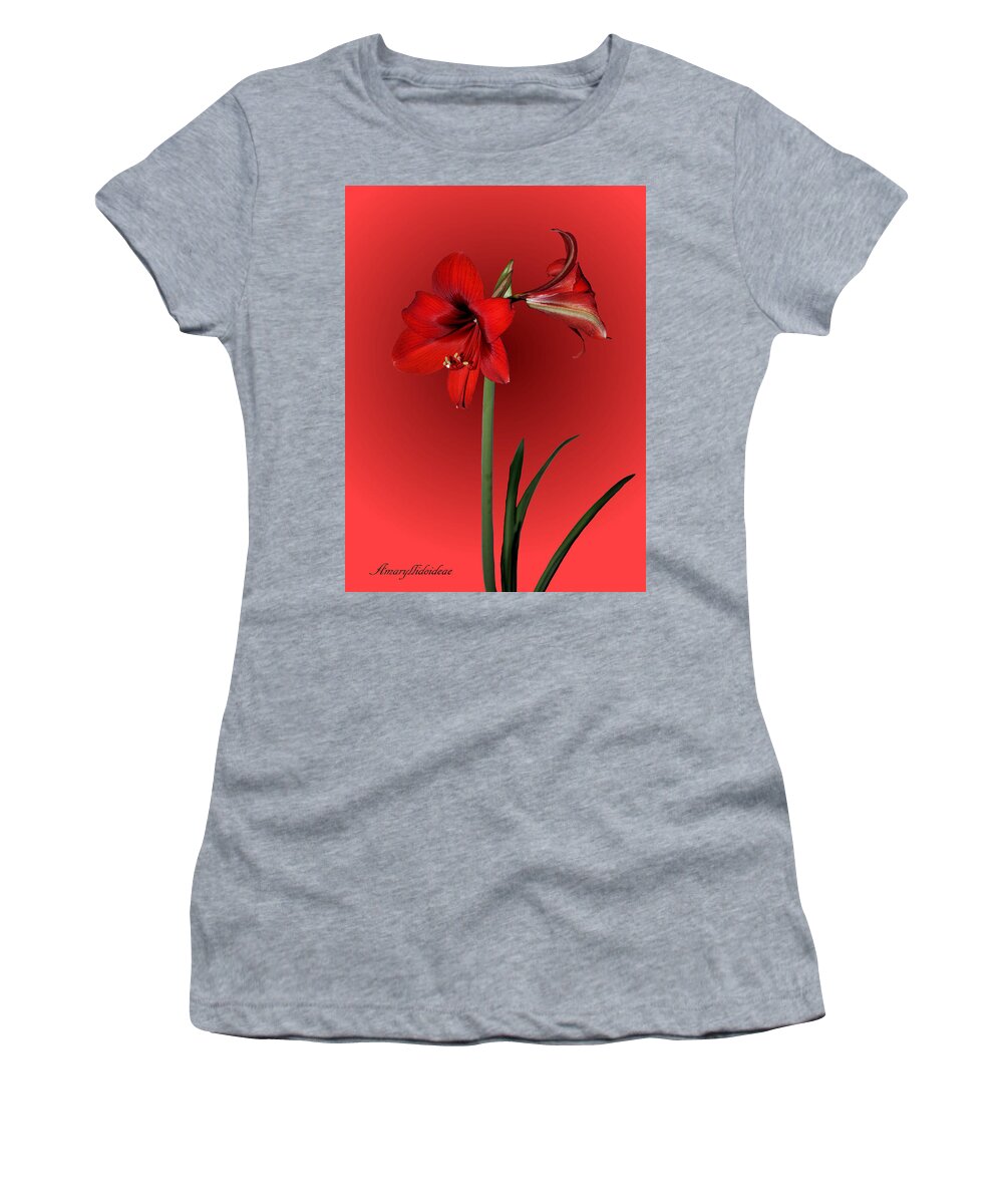 Amaryllis Women's T-Shirt featuring the photograph Lady in Red by Kristin Elmquist
