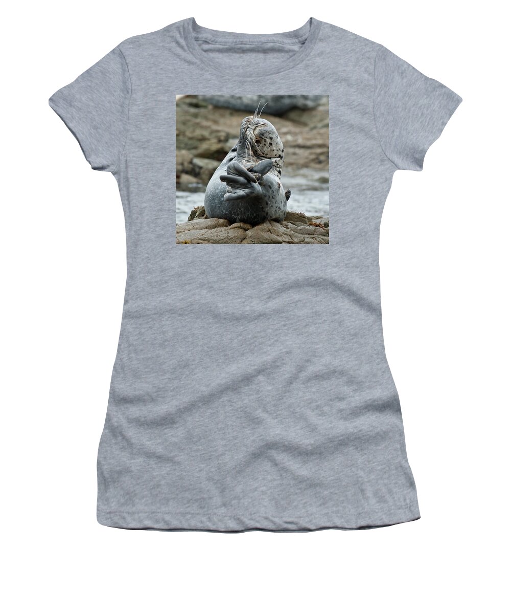 Seal Women's T-Shirt featuring the photograph Life is Tough by Greg Nyquist
