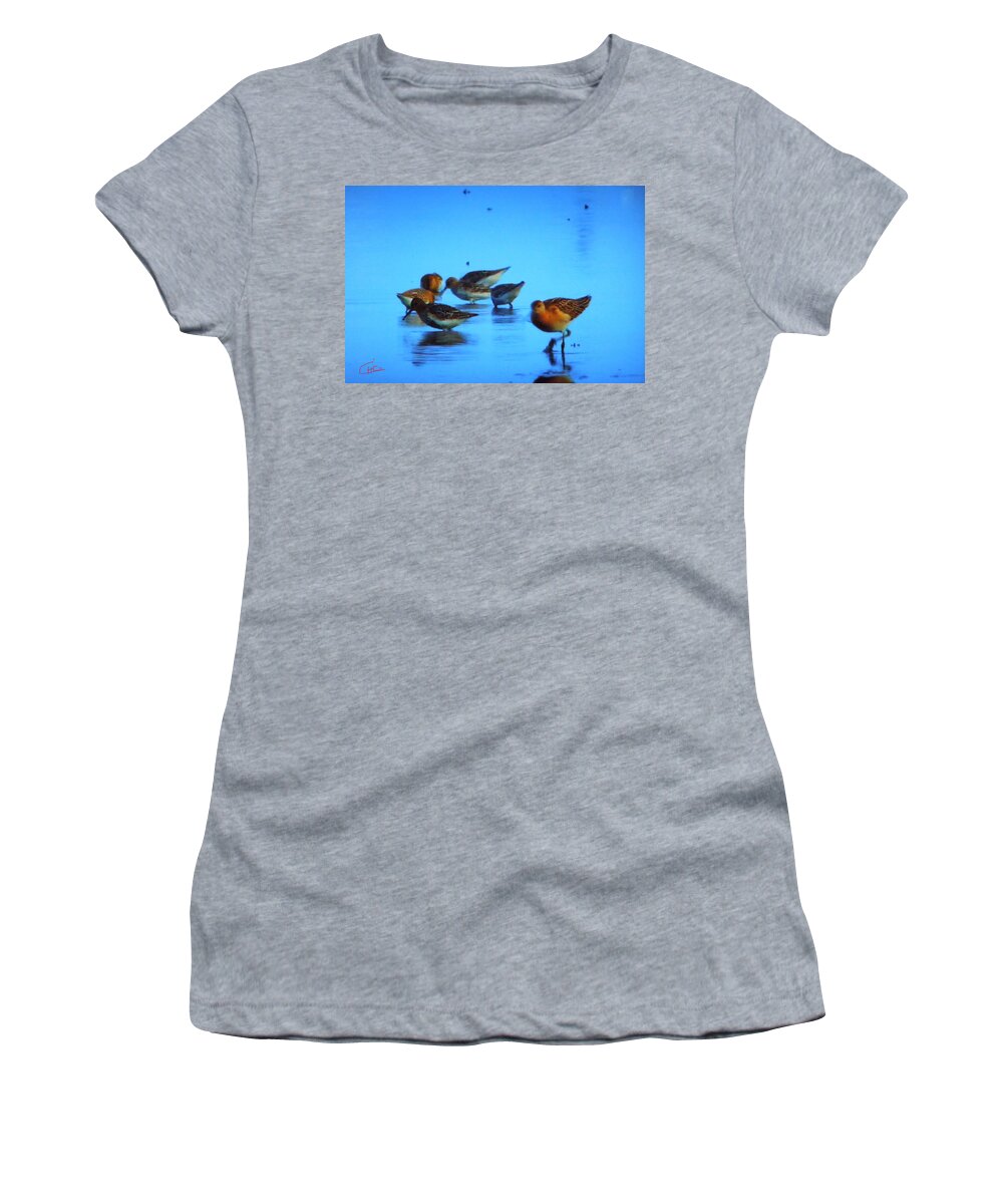 Colette Women's T-Shirt featuring the photograph Little Bird Rest Early Morning by Colette V Hera Guggenheim