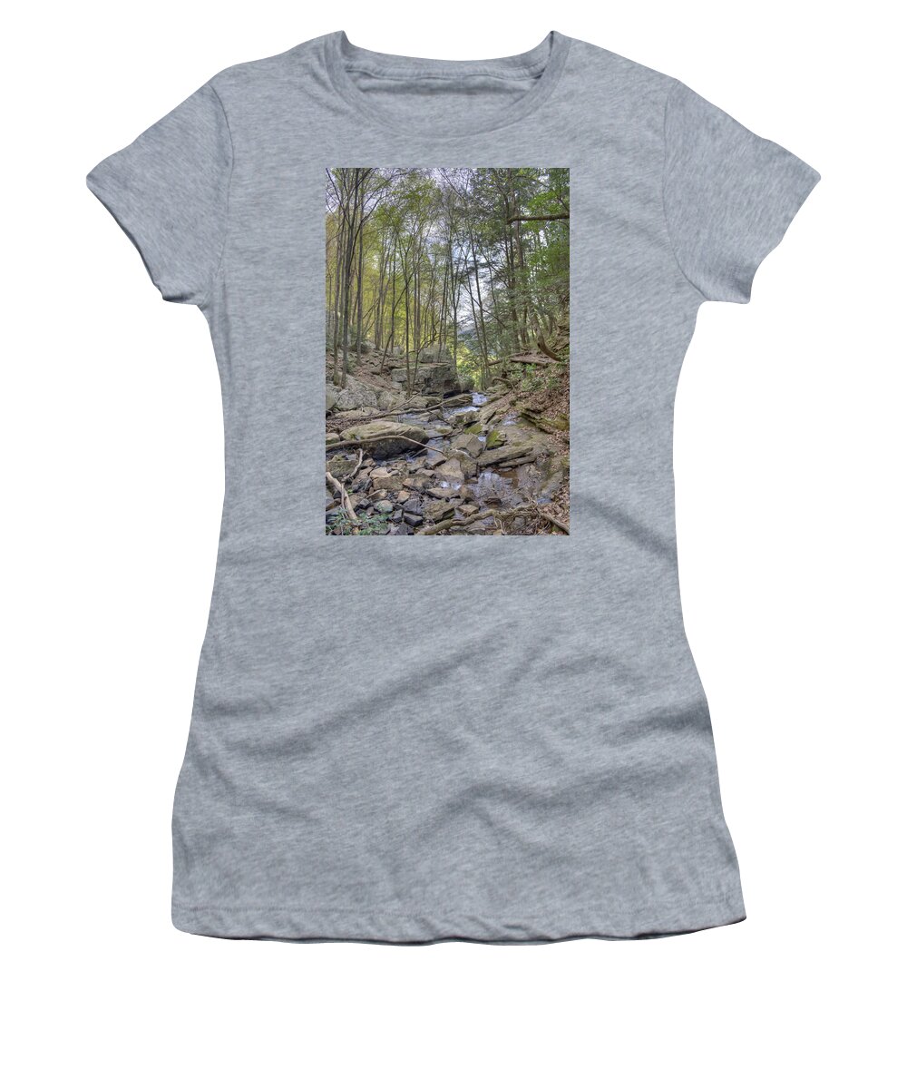 Cloudland Canyon Women's T-Shirt featuring the photograph Little Stream by David Troxel