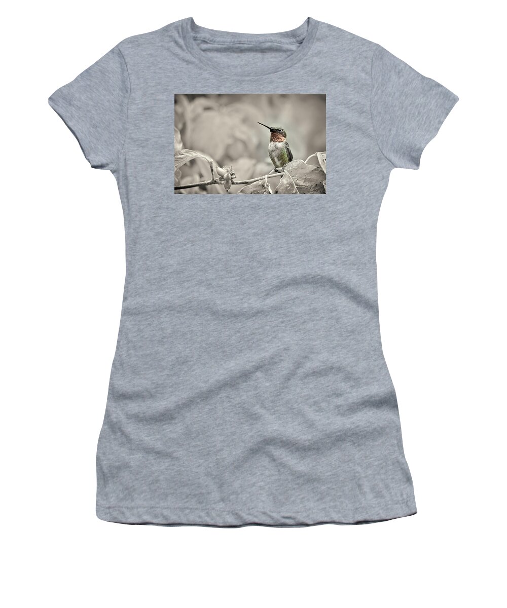 K-30 Women's T-Shirt featuring the photograph Male Ruby Throated Hummingbird by Lori Coleman