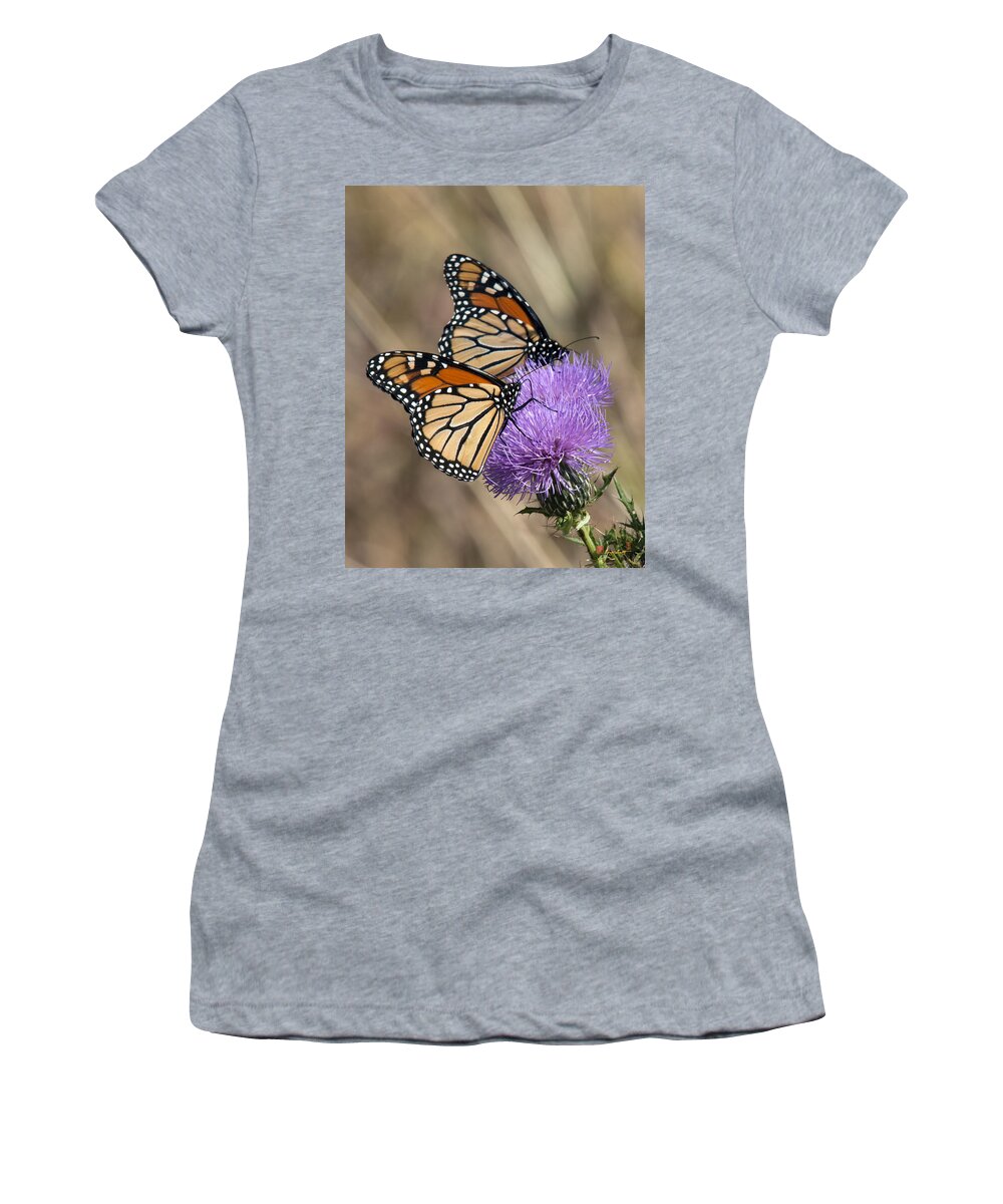 Marsh Women's T-Shirt featuring the photograph Monarch Butterflies on Field Thistle DIN162 by Gerry Gantt