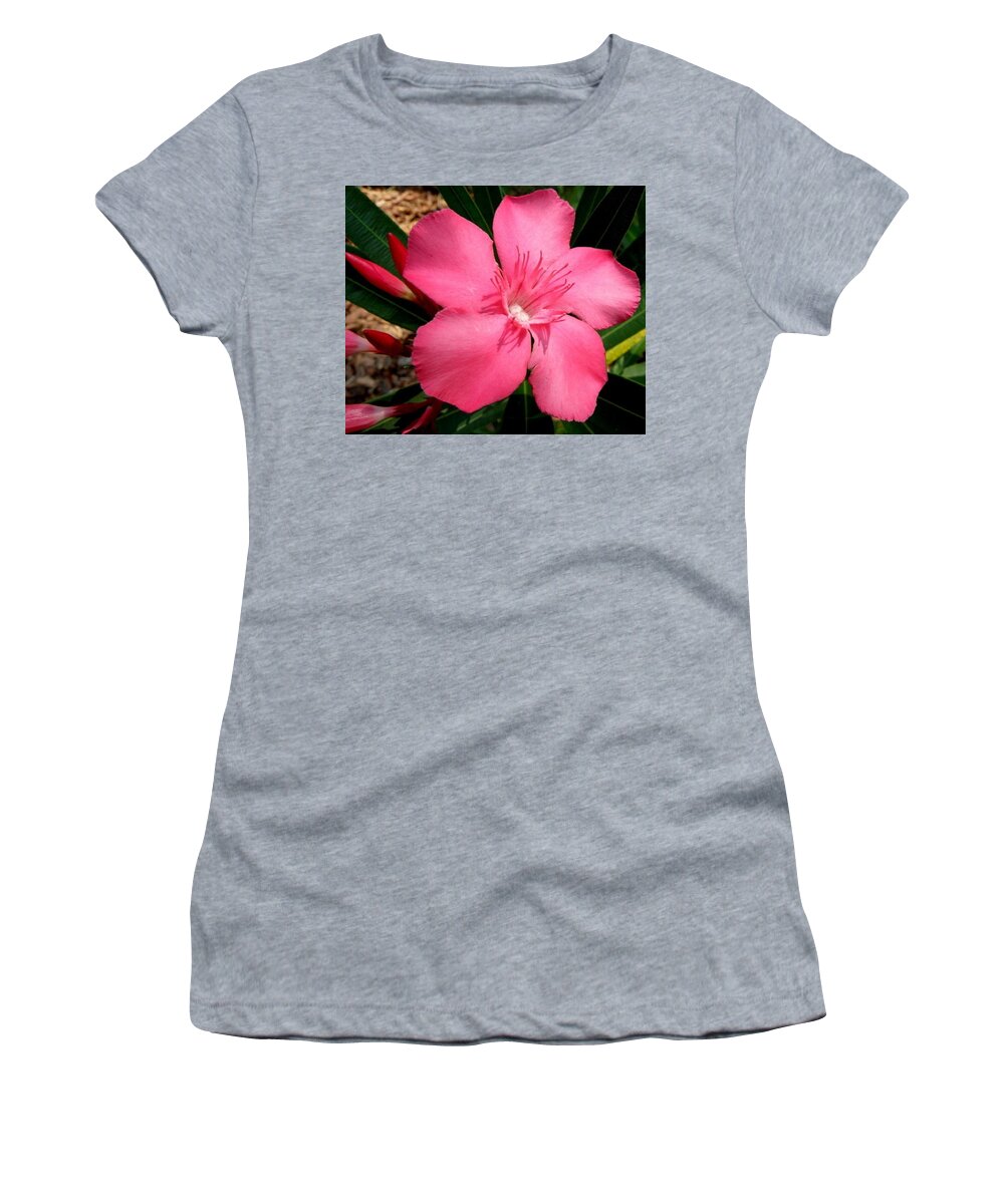 Pink Women's T-Shirt featuring the photograph Nerium Oleander Pink by Kim Galluzzo