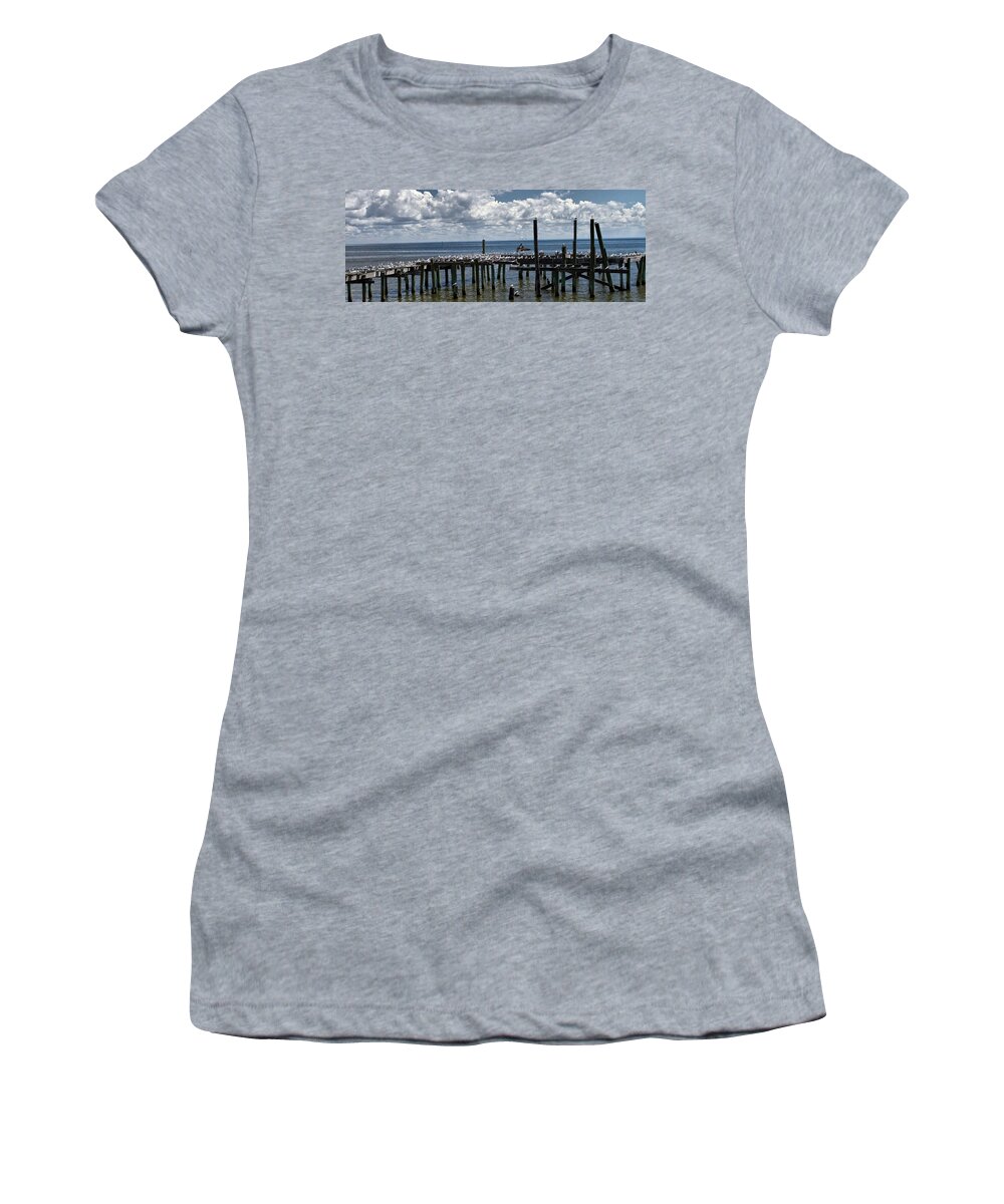 Seagulls Women's T-Shirt featuring the photograph No Vacancies by Farol Tomson