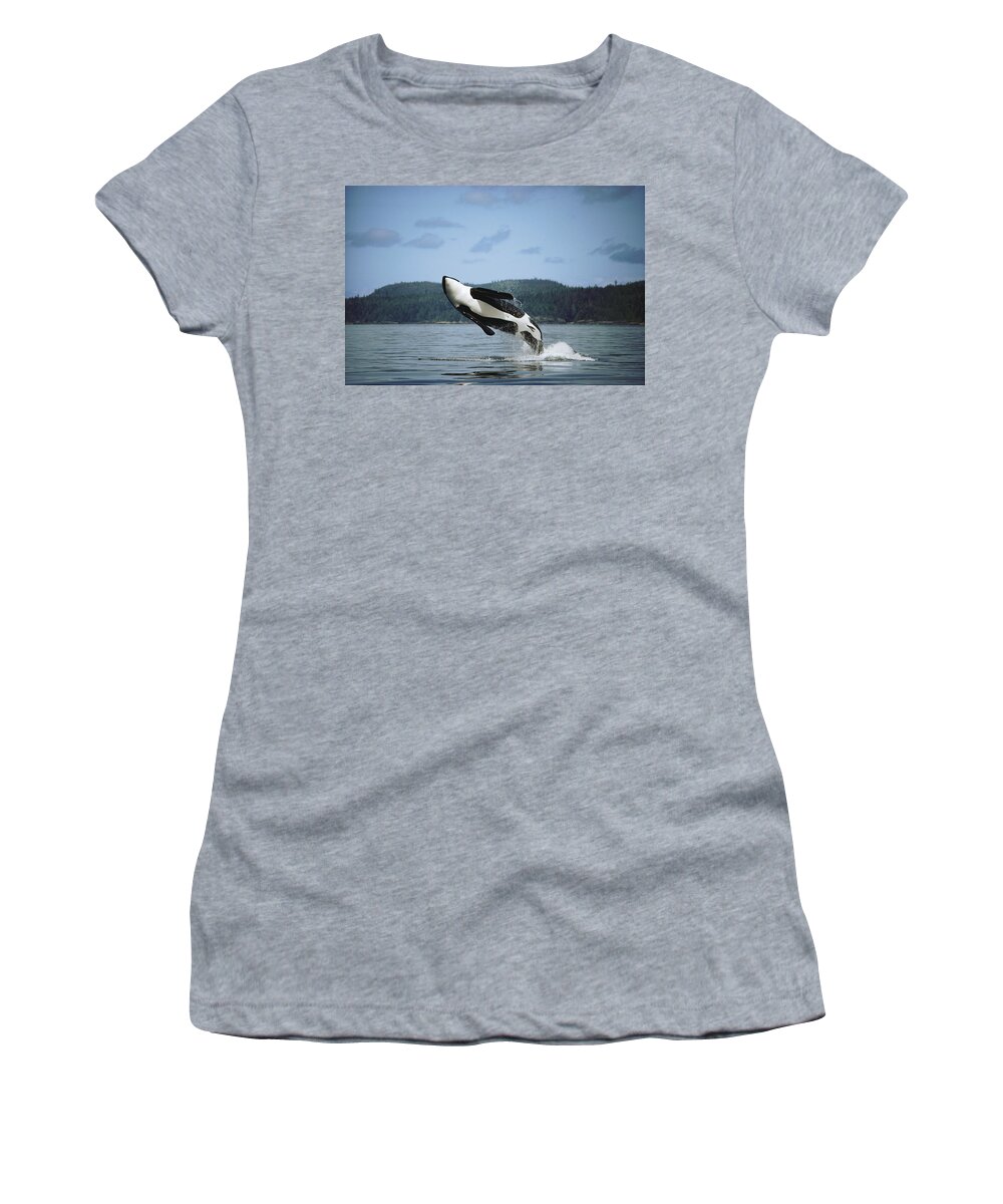 00079639 Women's T-Shirt featuring the photograph Orca Male Breaching Johnstone Strait by Flip Nicklin