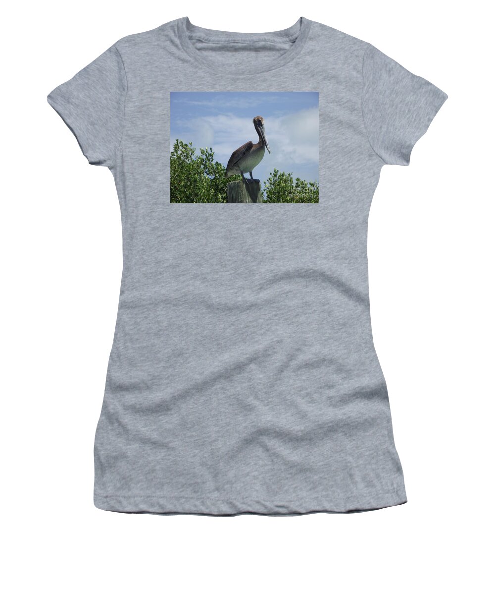 Florida Key Pelican Women's T-Shirt featuring the photograph Perched Pelican by Michelle Welles