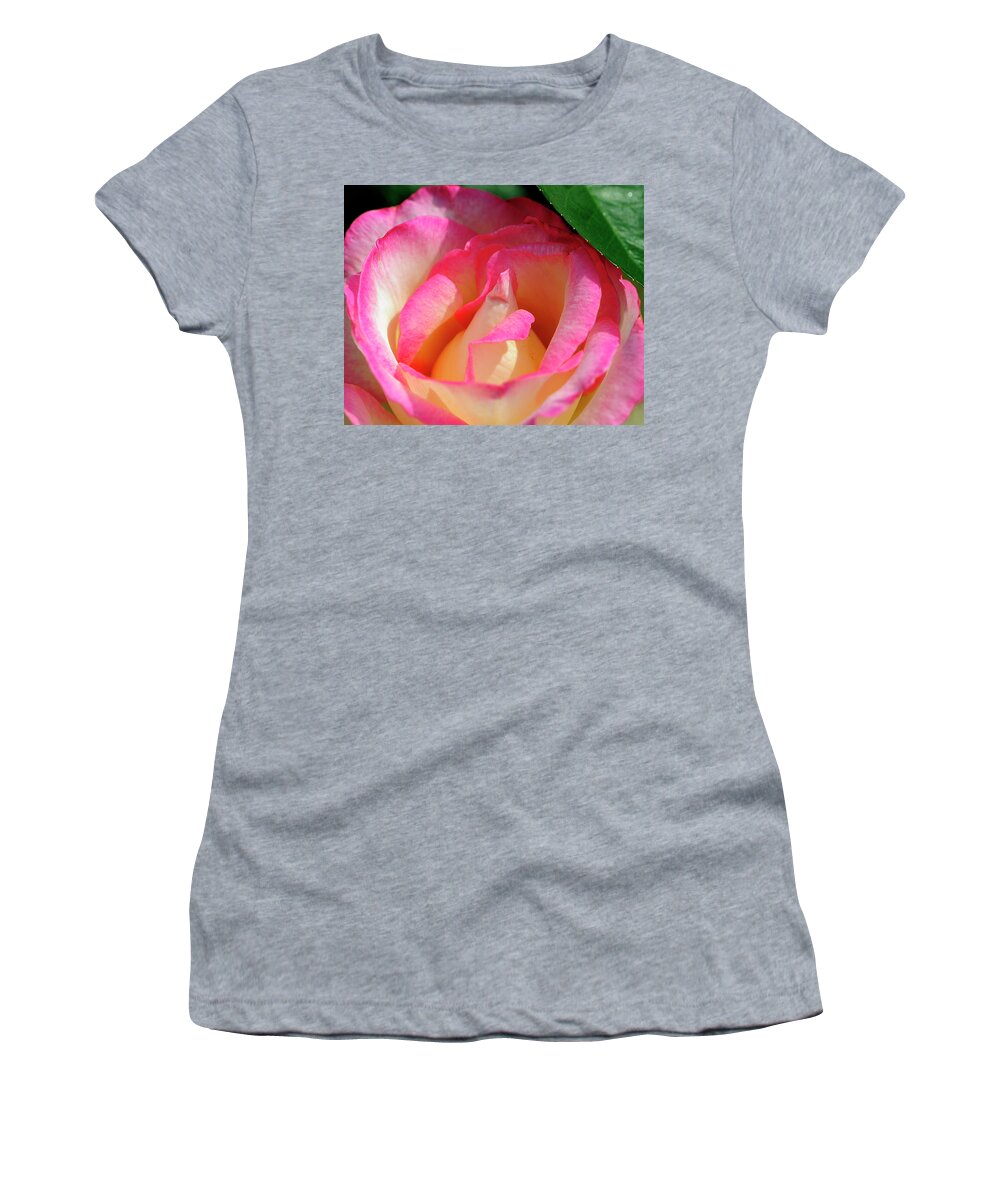 Flower Women's T-Shirt featuring the photograph Pink and White Rose by Bill Dodsworth