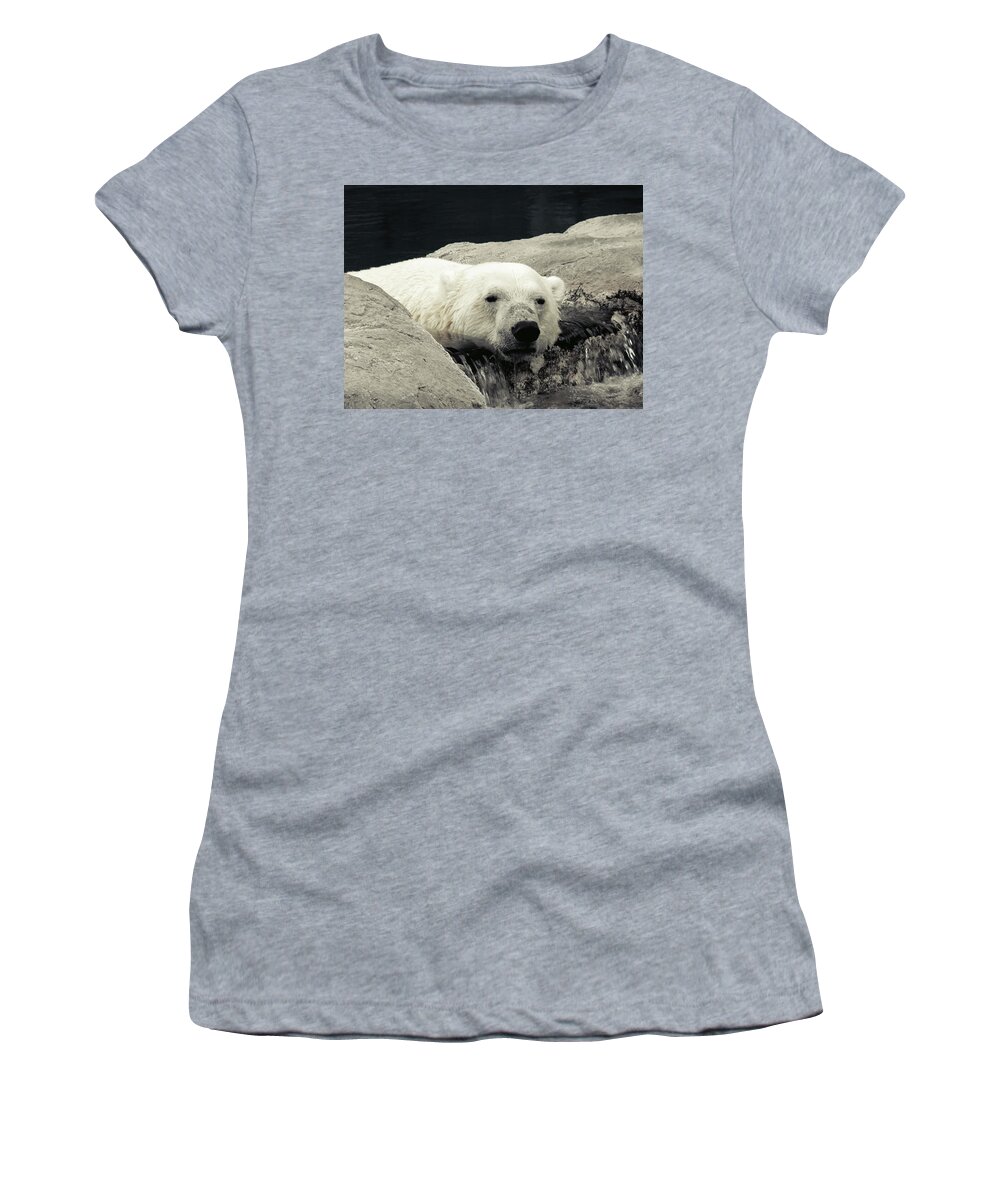 Animal Women's T-Shirt featuring the photograph Polar Relaxation by Charles Benavidez