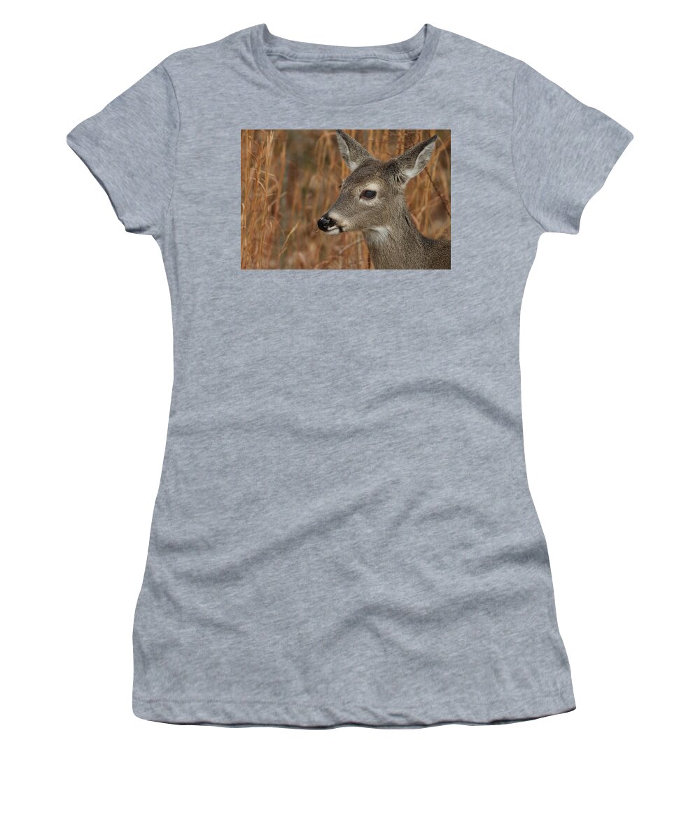 Odocoileus Virginanus Women's T-Shirt featuring the photograph Portrait Of Browsing Deer by Daniel Reed