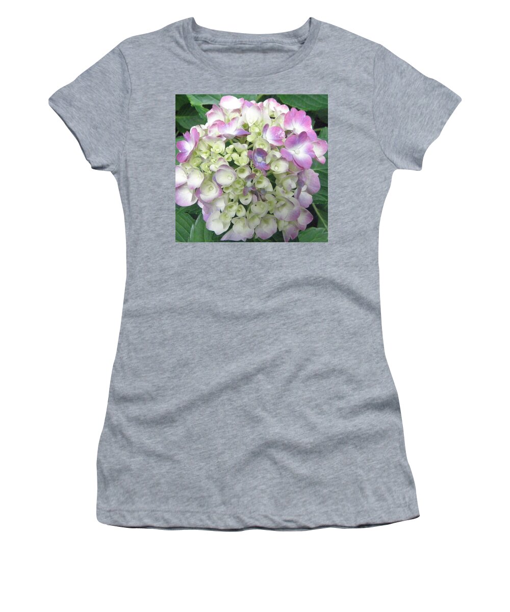 Hydrangea Women's T-Shirt featuring the photograph Pretty Pastels by Kim Galluzzo