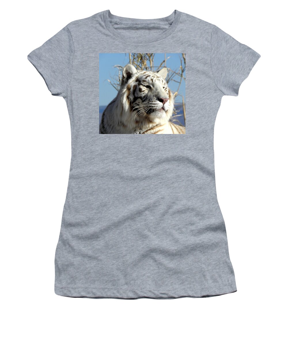 White Tiger Women's T-Shirt featuring the photograph Profile Power by Kim Galluzzo