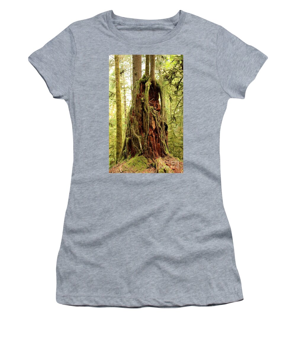 Roots Women's T-Shirt featuring the photograph Rainforest Rejuvenation by Carol Groenen