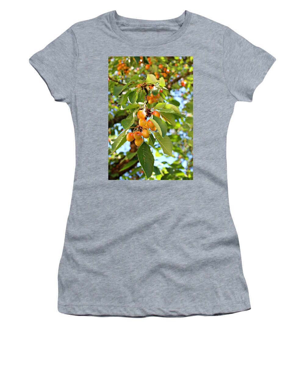 Cherry Women's T-Shirt featuring the photograph Rainier Cherries by Jo Sheehan