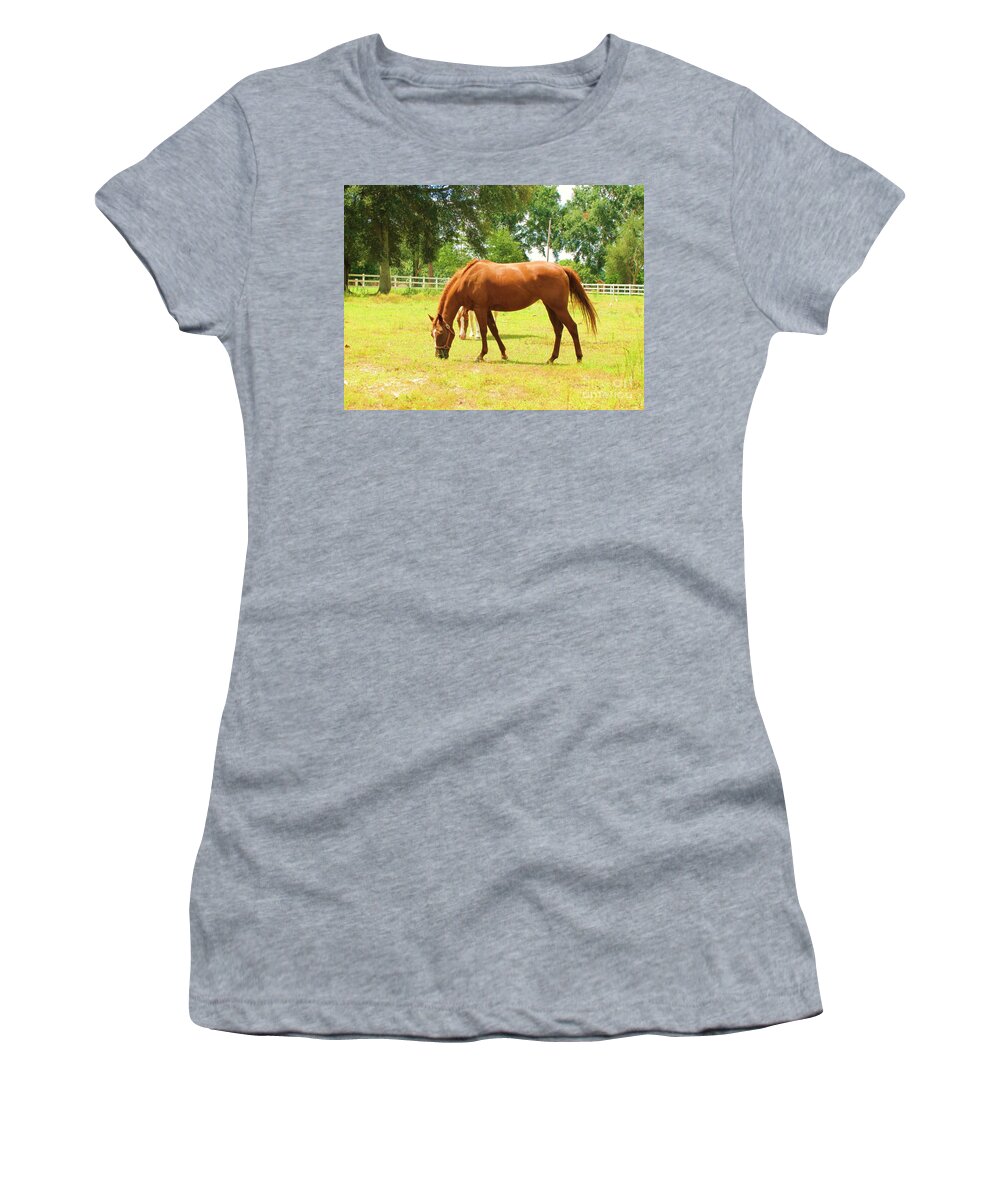 Horse Women's T-Shirt featuring the photograph Red horse by Michelle Powell