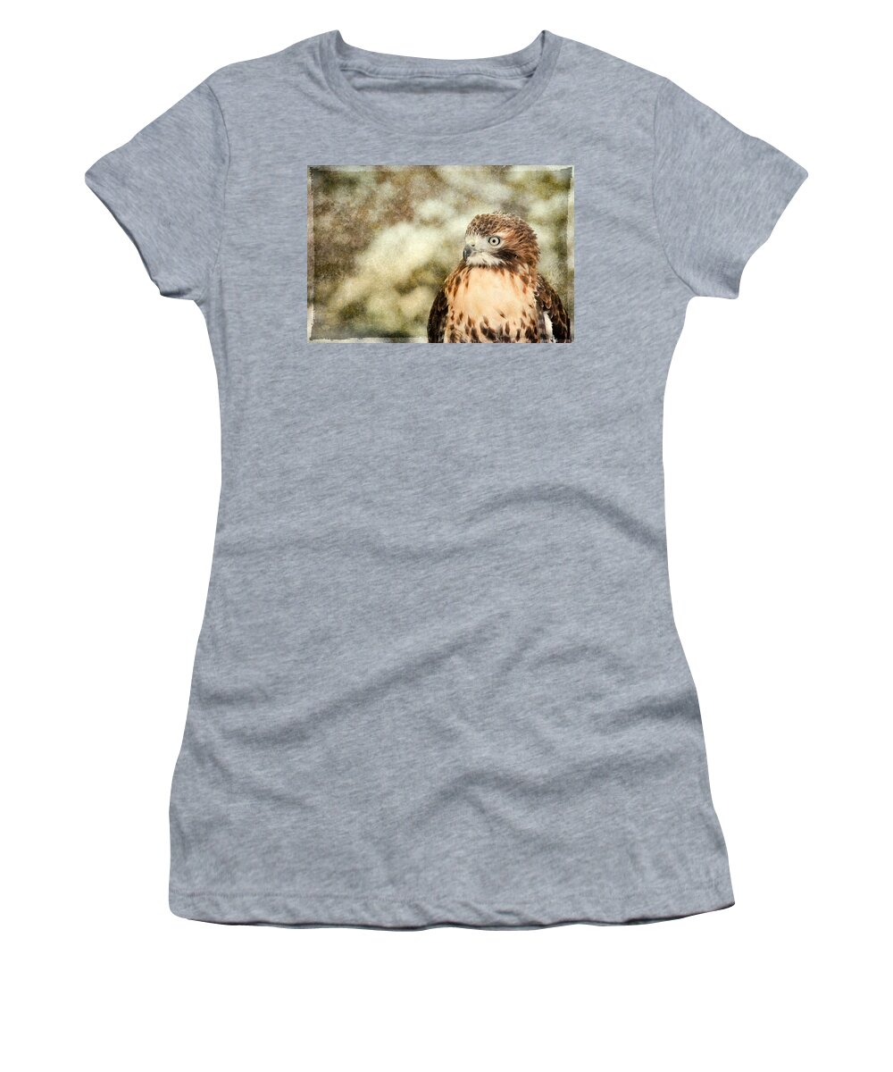 Accipitridae Women's T-Shirt featuring the photograph Red Tail by Joye Ardyn Durham