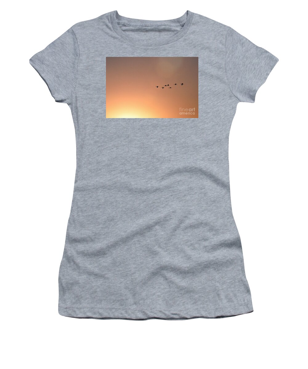 Crane Women's T-Shirt featuring the photograph Sandhill Cranes to The Sun by David Arment