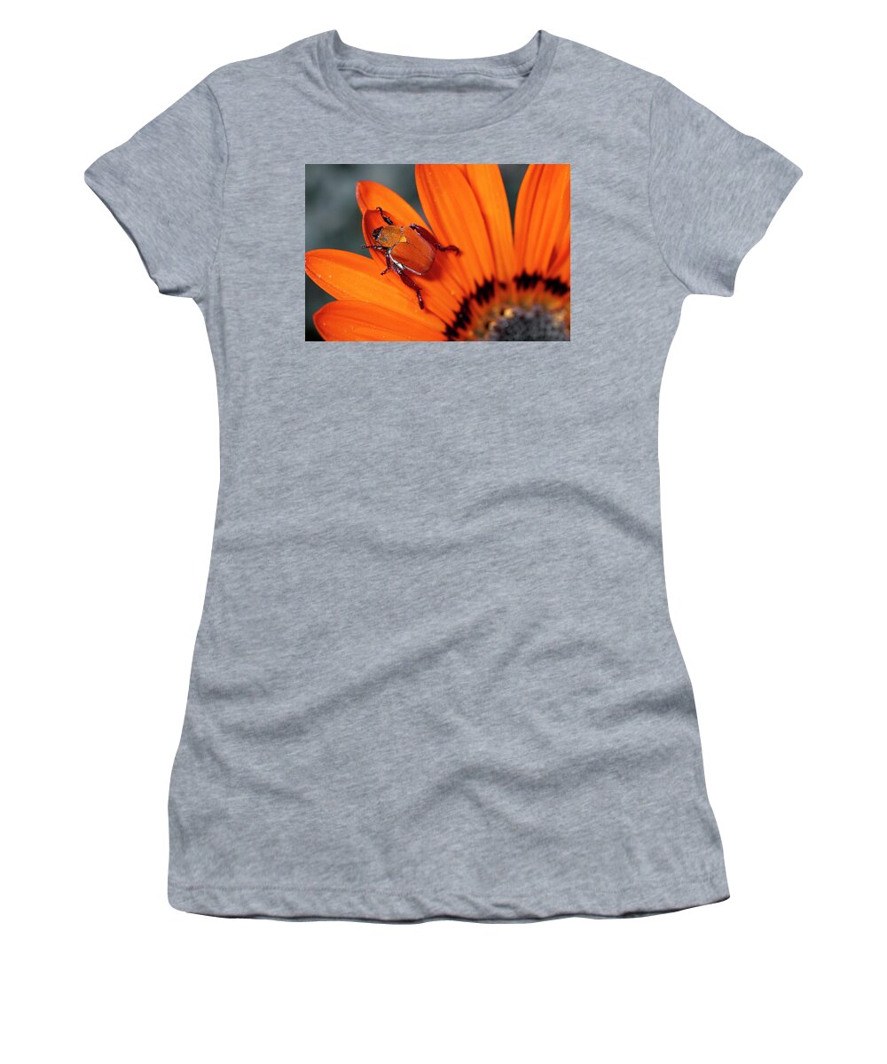 Mp Women's T-Shirt featuring the photograph Scarab Beetle On A Guzmania Flower by Michael & Patricia Fogden