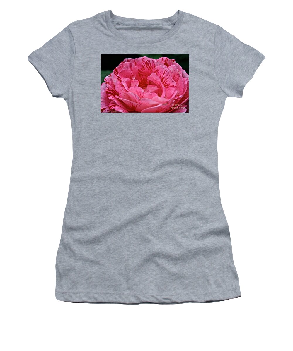 Floral Women's T-Shirt featuring the photograph Scentimental by Susan Herber