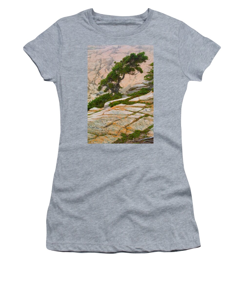 Pitch Pine Women's T-Shirt featuring the photograph Schoodic cliffs by Brent L Ander