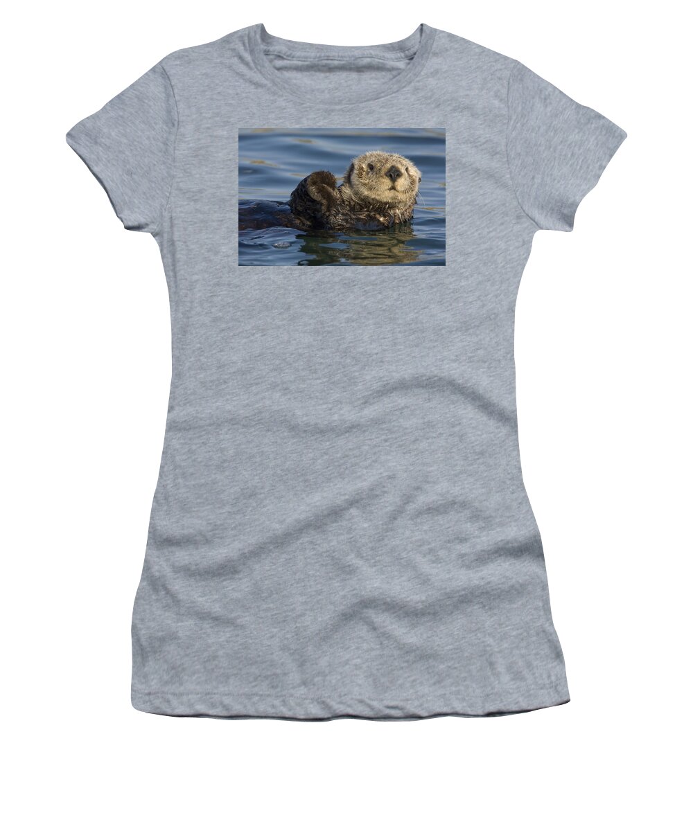 00438490 Women's T-Shirt featuring the photograph Sea Otter Monterey Bay California by Suzi Eszterhas