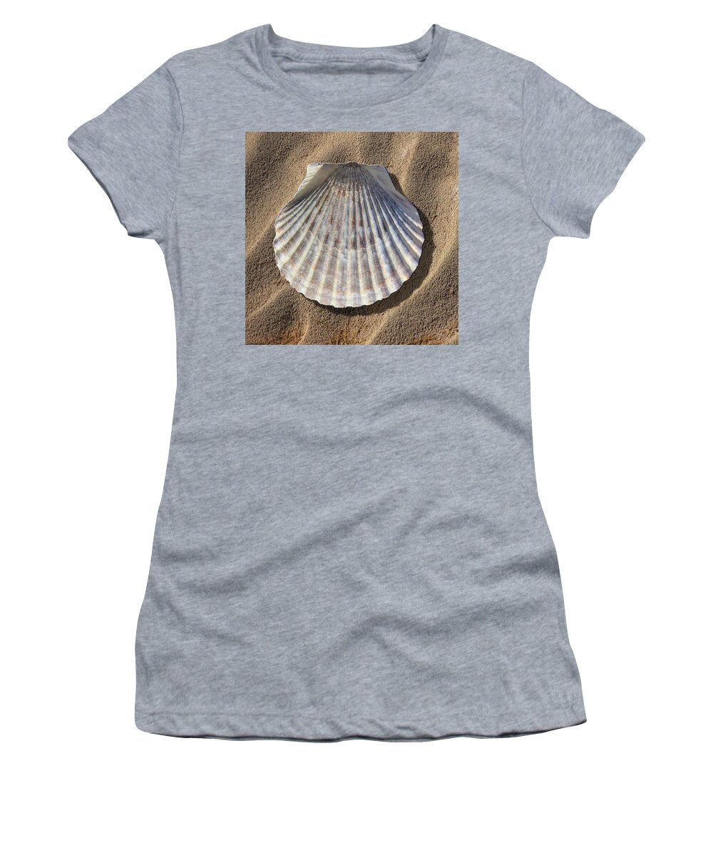 Sea Shell Women's T-Shirt featuring the photograph Sea Shell 2 by Mike McGlothlen