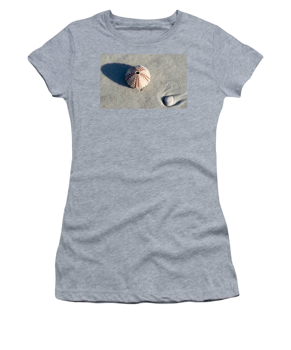 Beach Women's T-Shirt featuring the photograph Sea Urchin and Shell by Kenneth Albin