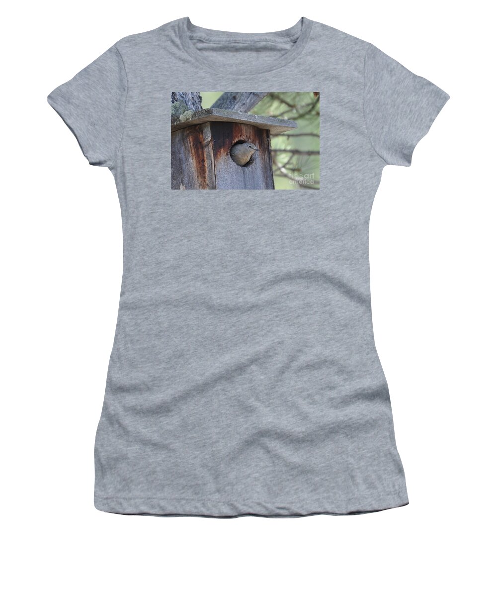 Bird Women's T-Shirt featuring the photograph She's Home by Dorrene BrownButterfield
