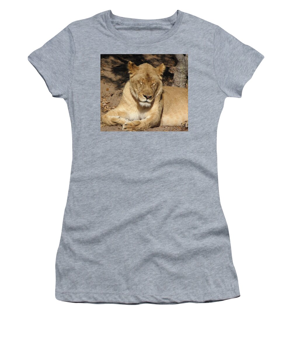 Lion Women's T-Shirt featuring the photograph Snoozing by Kim Galluzzo Wozniak