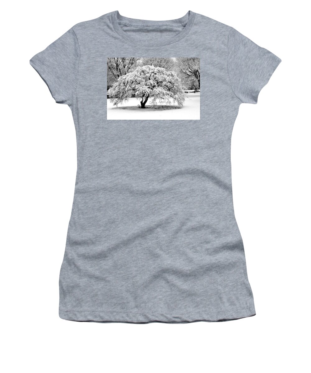 Snow Women's T-Shirt featuring the photograph Snow in Connecticut by John Scates