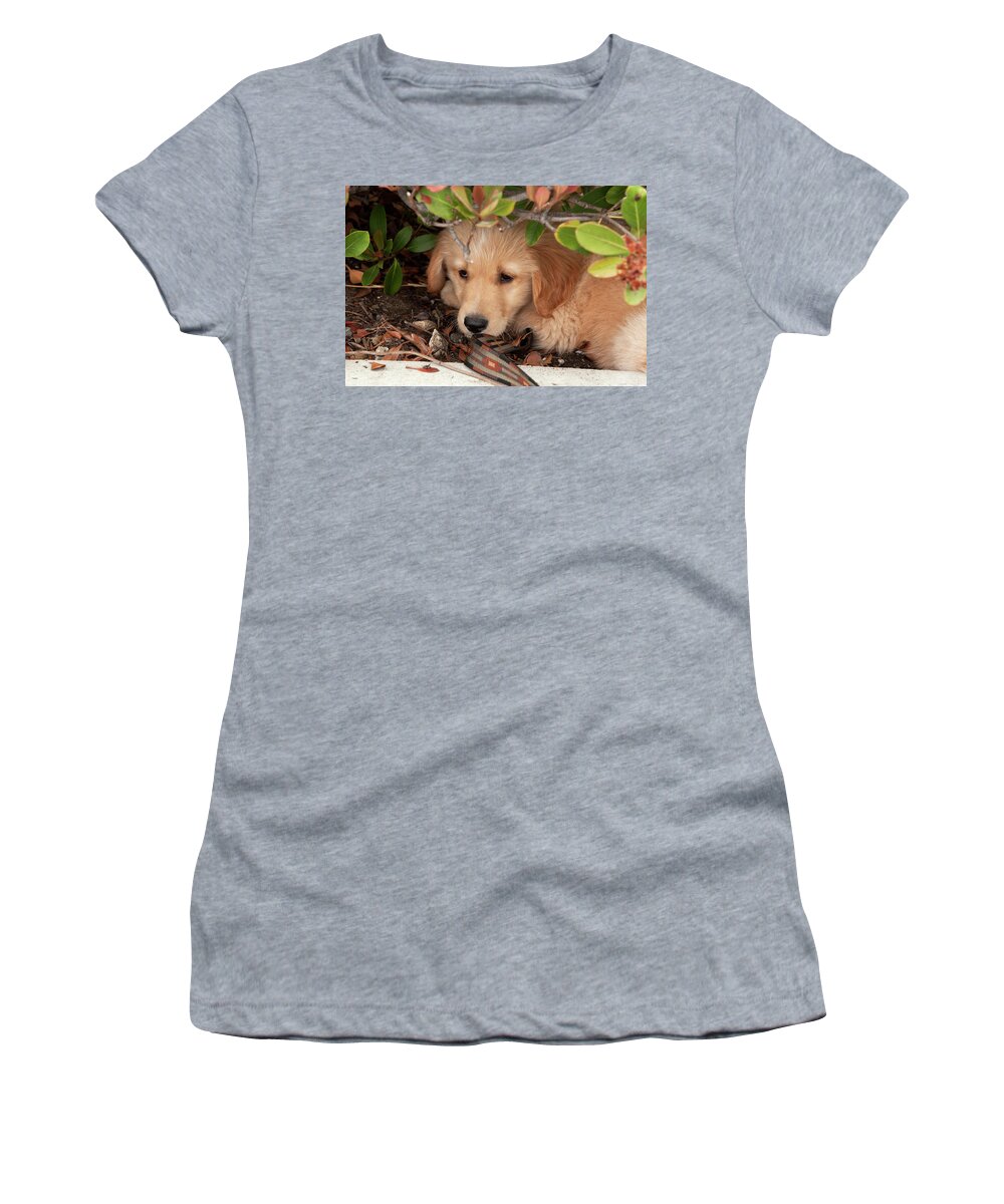 Puppy Women's T-Shirt featuring the photograph So Shy by Lorraine Devon Wilke
