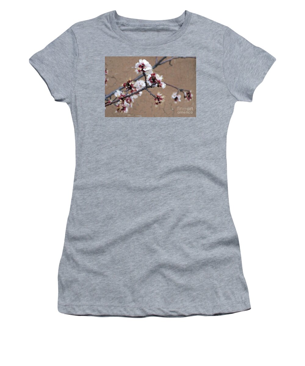 Trees Women's T-Shirt featuring the photograph Spring Promises by Dorrene BrownButterfield