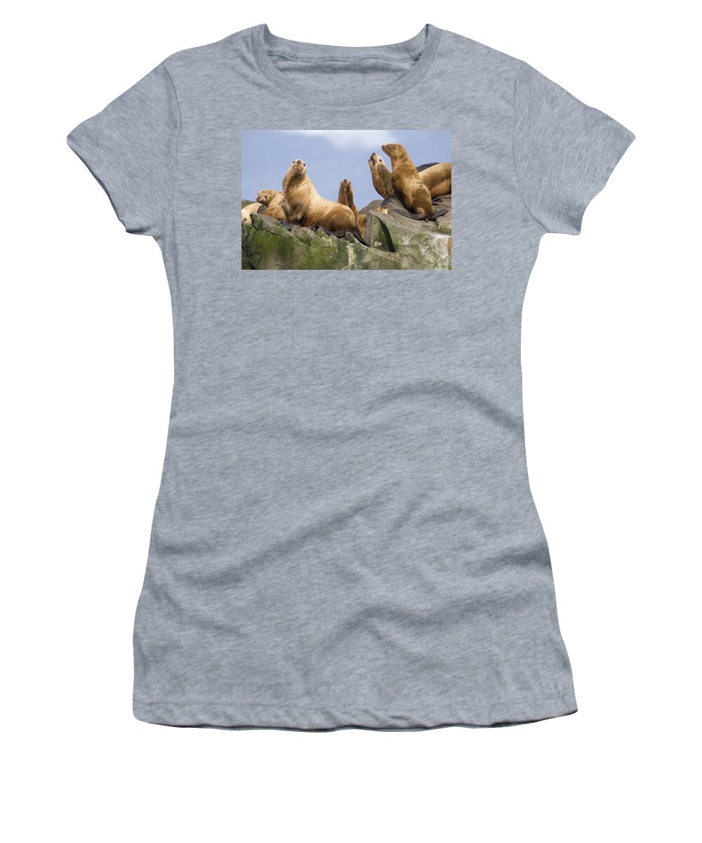 Mp Women's T-Shirt featuring the photograph Stellers Sea Lion Group Sunning by Flip Nicklin