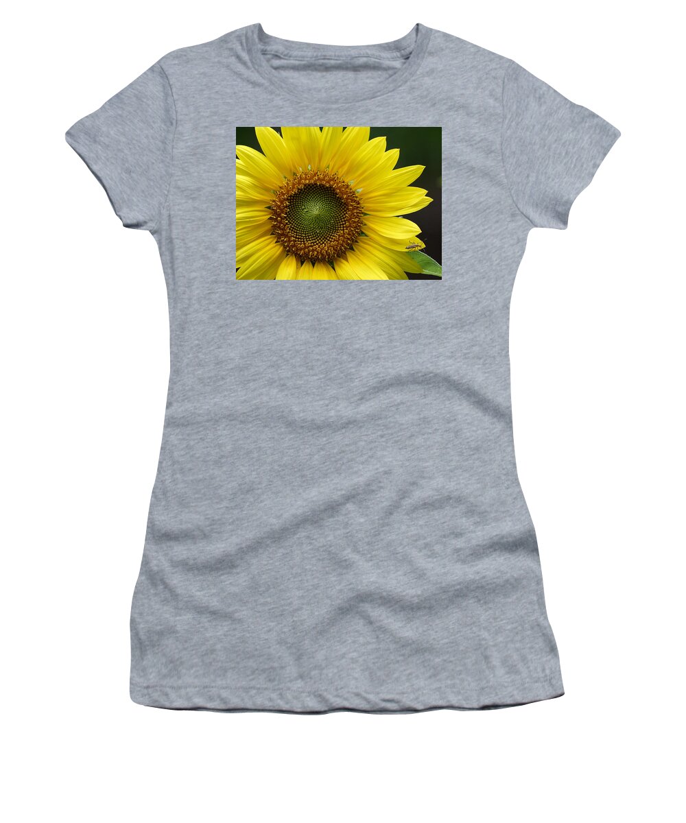 Helianthus Annuus Women's T-Shirt featuring the photograph Sunflower With Insect by Daniel Reed
