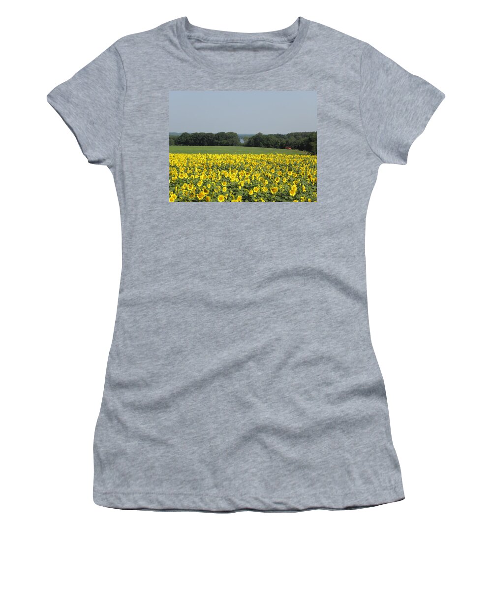 Sunflower Women's T-Shirt featuring the photograph Sunflowers on the farm by Kim Galluzzo